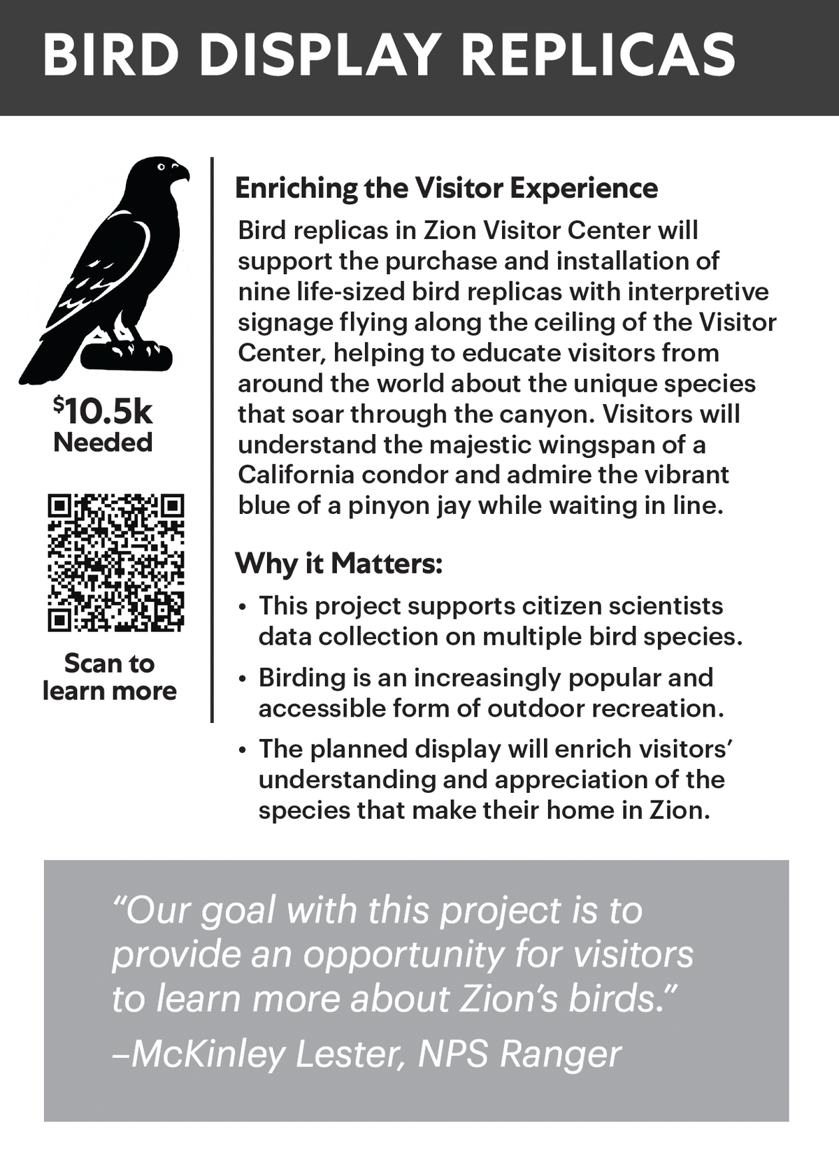 Enriching the Visitor Experience - Bird Replicas in Zion Visitor Center — back