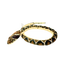 Plush - Rattlesnake - Zion Natl Park Forever Project