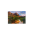 Postcard - 4X6 Impact - Zion Natl Park Forever Project