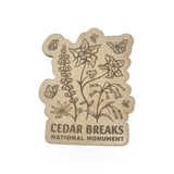 Magnet - Wood Pollinator CEBR
