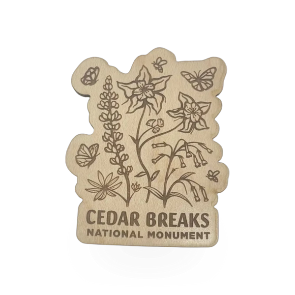 Magnet - Wood Pollinator CEBR