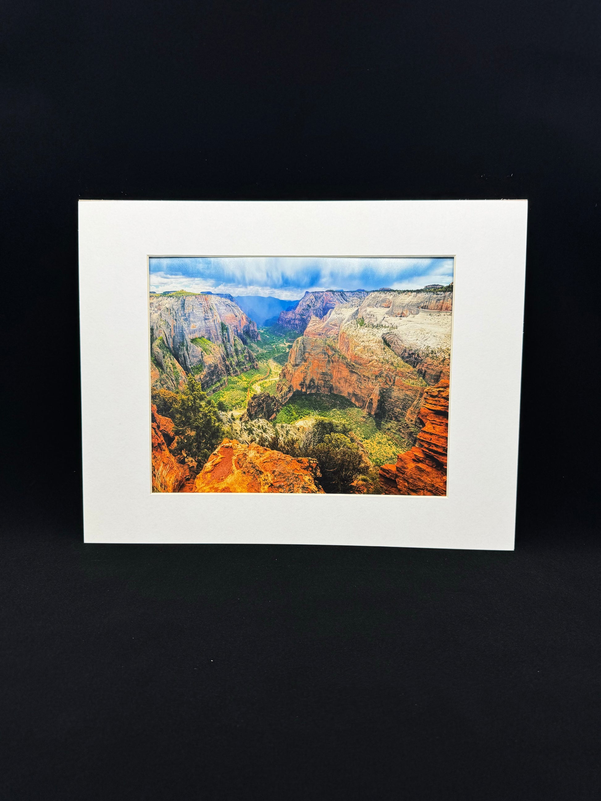 Matted Print - RR Observation ZN-05 - Zion Natl Park Forever Project