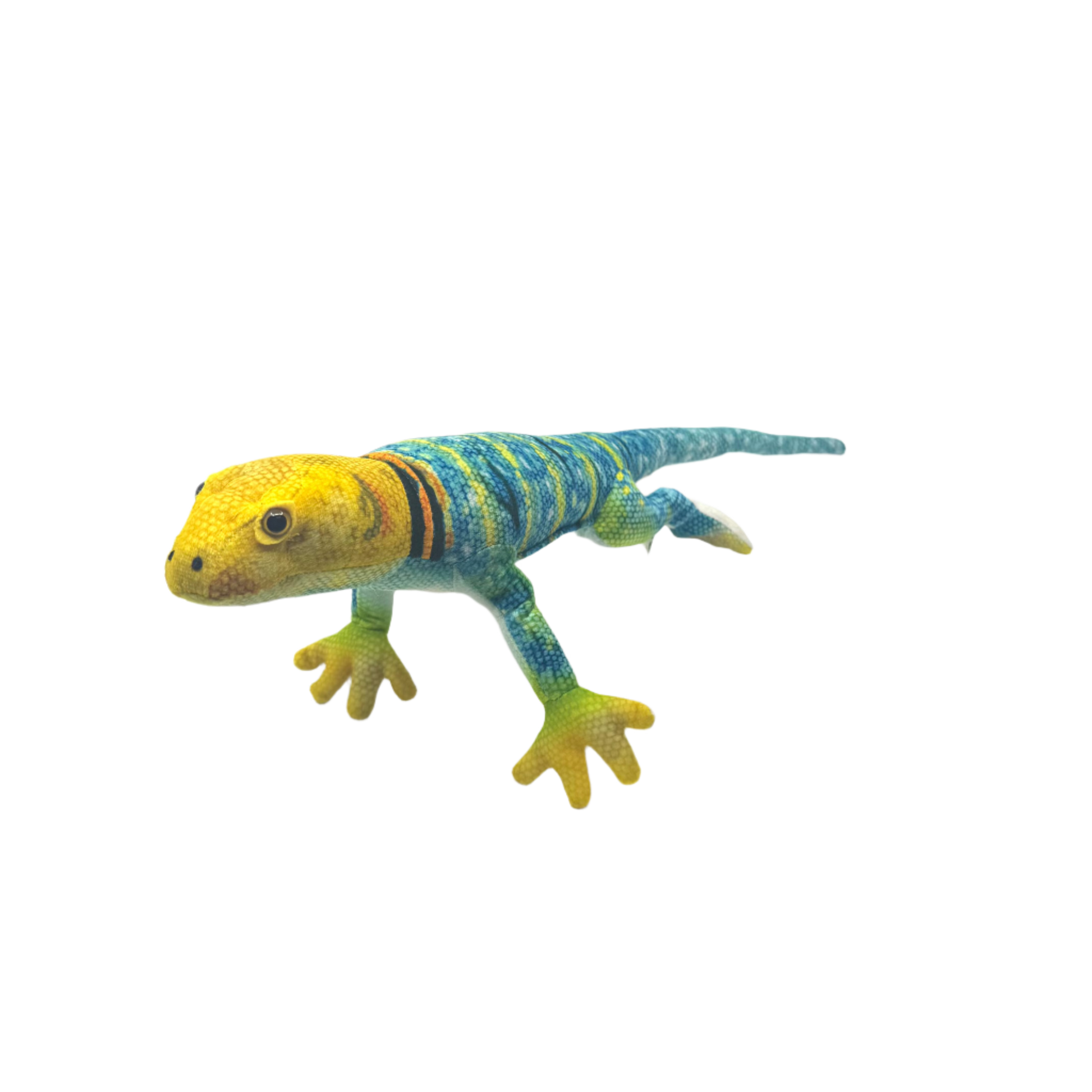 Plush - Collared Lizard - Zion Natl Park Forever Project