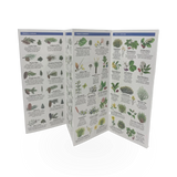 Folding Guide - Pocket Nat Guide - UT Trees/Wildflowers