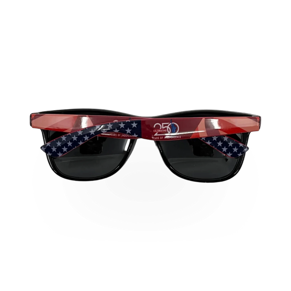 Desert Sunglass of Scottsdale America 250 polarized safety sunglasses with full frame and tinted lenses.