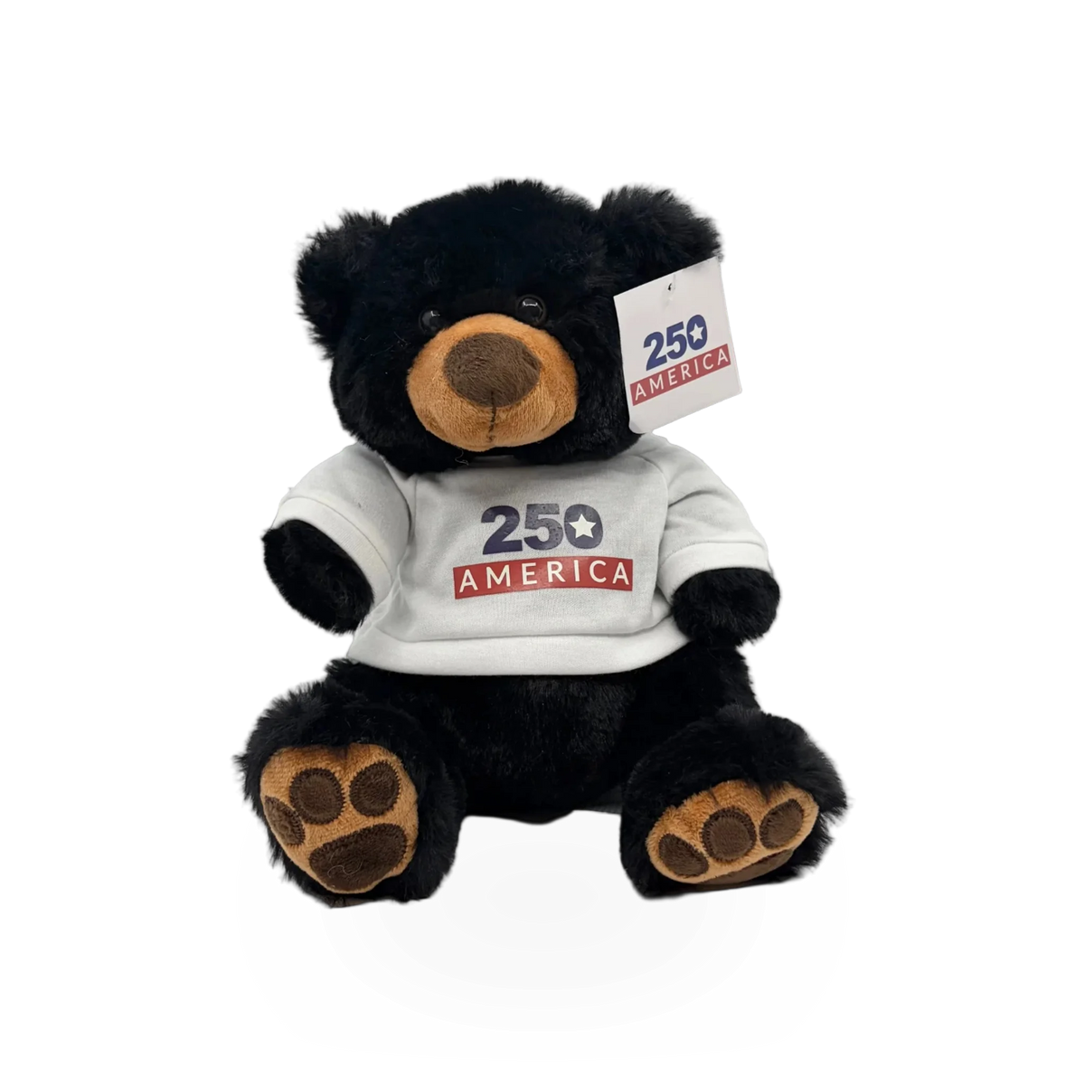 Soft 8-inch America 250 Black Bear plush toy wearing a hoodie, from Nature Planet Inc, ideal for collectors or cuddling.