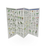 Folding - Pocket Nat Guide - SW Life