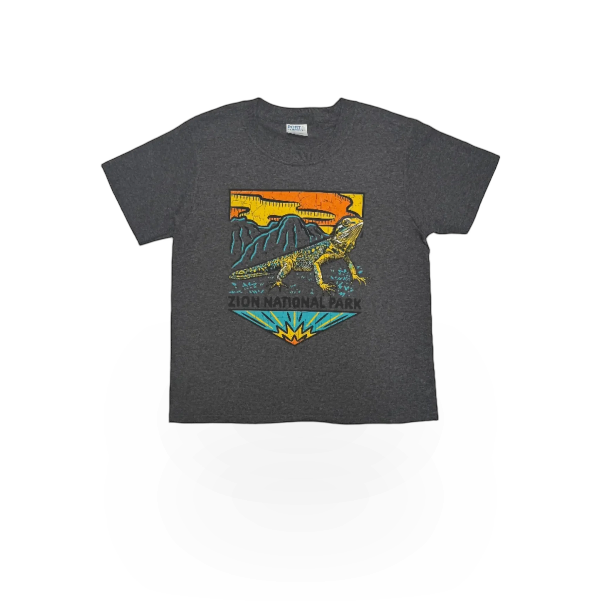RMR Designs themed T-shirt featuring a detailed Yth Woodblock Collared Lizard illustration on the front.