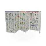 Folding Guide - Pocket Nat Guide - UT Trees/Wildflowers