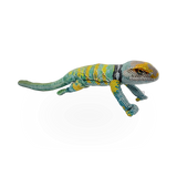 Plush - Collared Lizard Coilkins