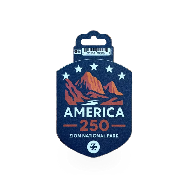 Colorful America 250 sticker pack by VA featuring vibrant patriotic-themed stickers for decoration or crafting.