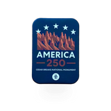 Better Magnets America 250 VA magnet, a powerful black magnetic tool with a sturdy metal handle, ideal for industrial use.