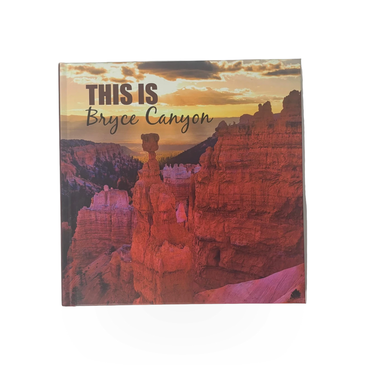 Book - This Is Bryce