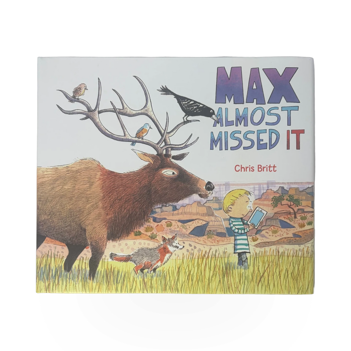Book - Max Almost Missed It