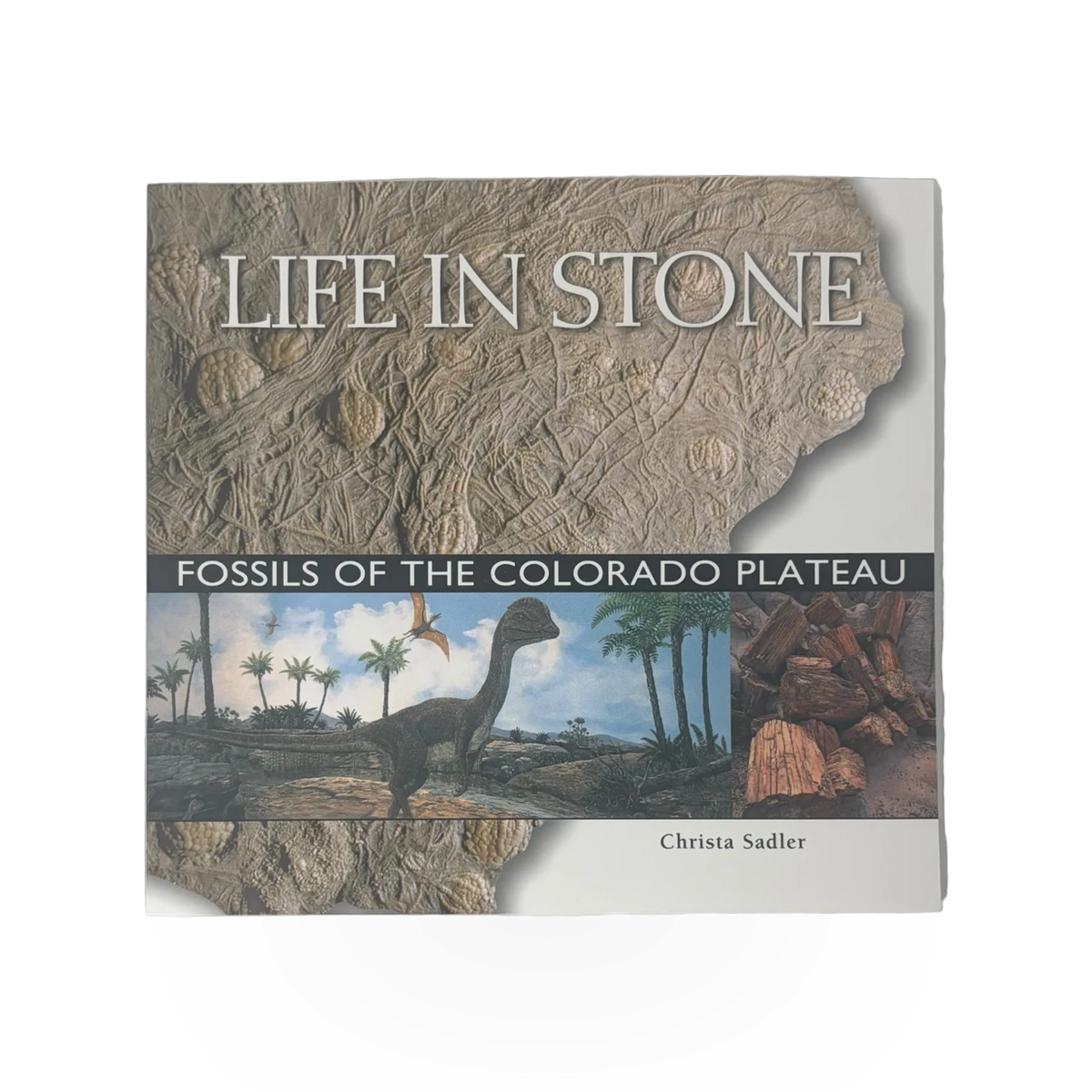Book - Life In Stone
