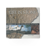 Book - Life In Stone