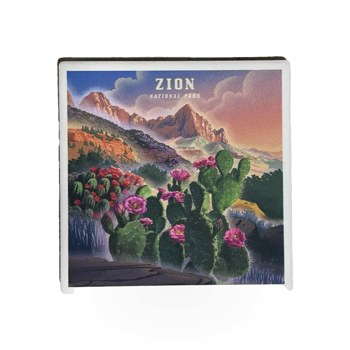 Coaster - Watchman Wildflowers 147111-CT