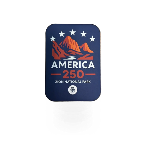 Better Magnets America 250 VA magnet, showing its sturdy metal construction and powerful magnetic surface.