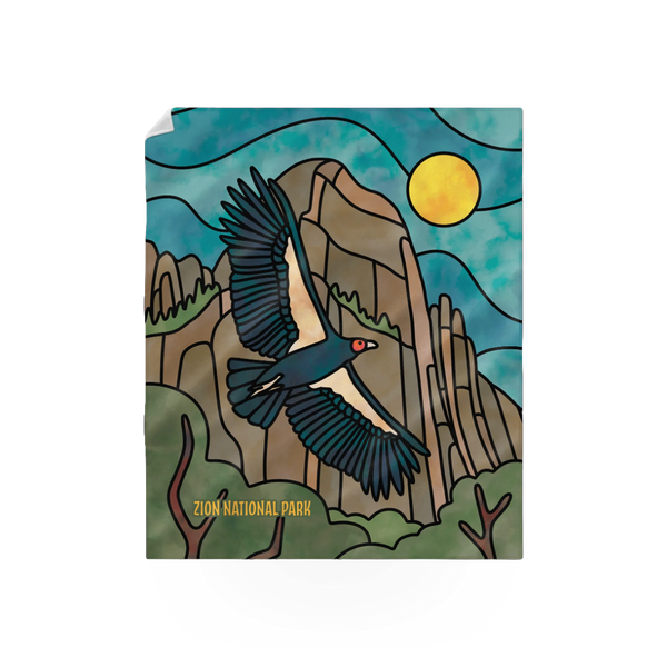 Blanket - Condor