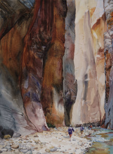 The NarrowsSuze Woolf
