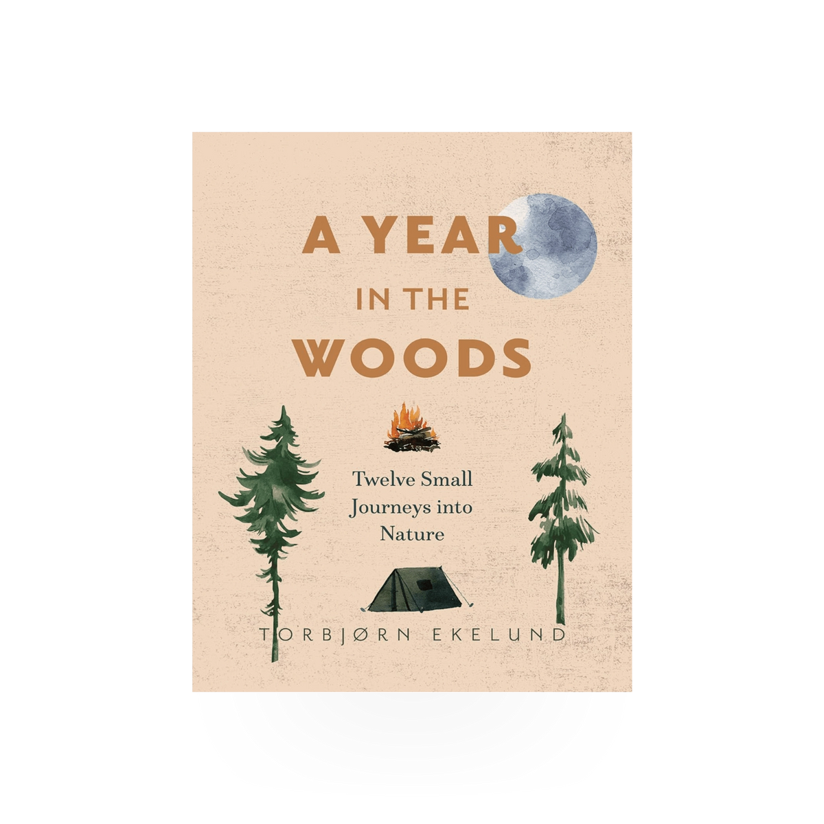 A hardcover book titled "A Year In The Woods" published by Ingram, featuring an illustrated woodland scene on the cover.