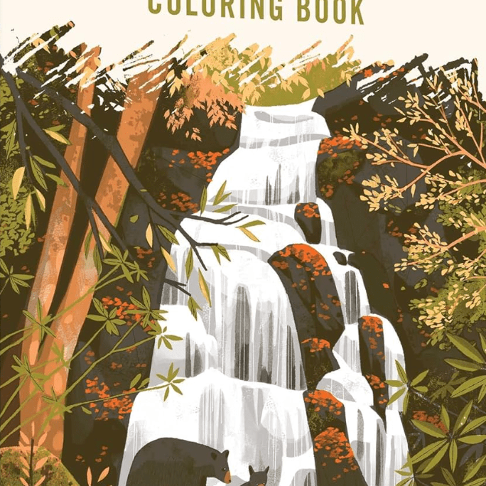 Book - Art Of Natl Parks Coloring - Zion Natl Park Forever Project