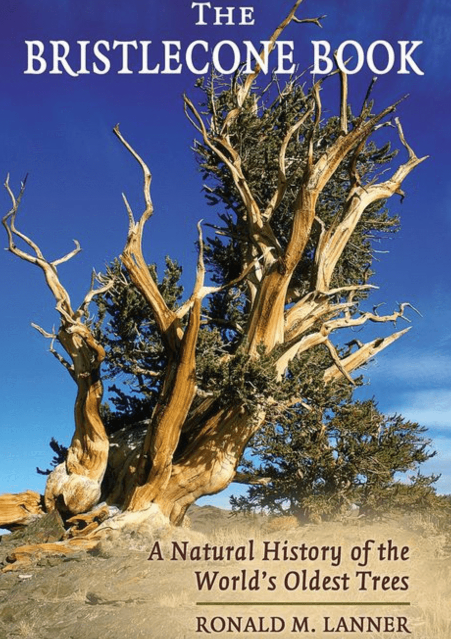 Bristlecone Book CEBR by Mountain Press Publishing, hardcover book with detailed cover design on a plain background