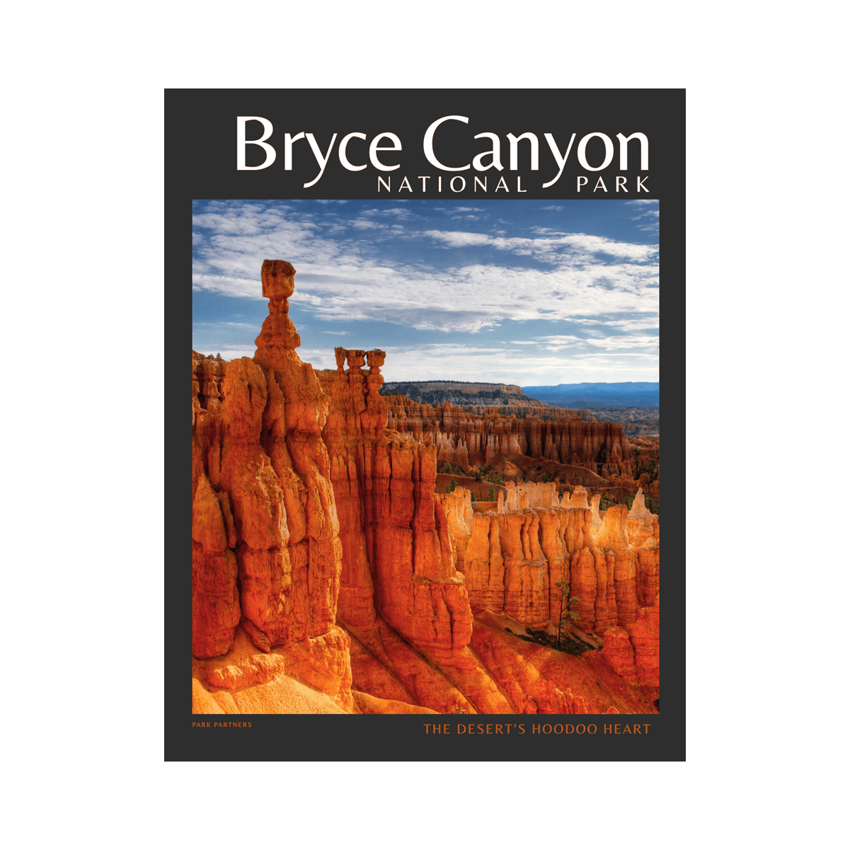 Book - Bryce Canyon The Desert Hoodoo - Zion Natl Park Forever Project