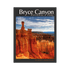 Book - Bryce Canyon The Desert Hoodoo - Zion Natl Park Forever Project