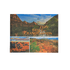 Book - Bryce, Zion And Grand Canyon - Zion Natl Park Forever Project