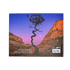 Book - Bryce, Zion And Grand Canyon - Zion Natl Park Forever Project