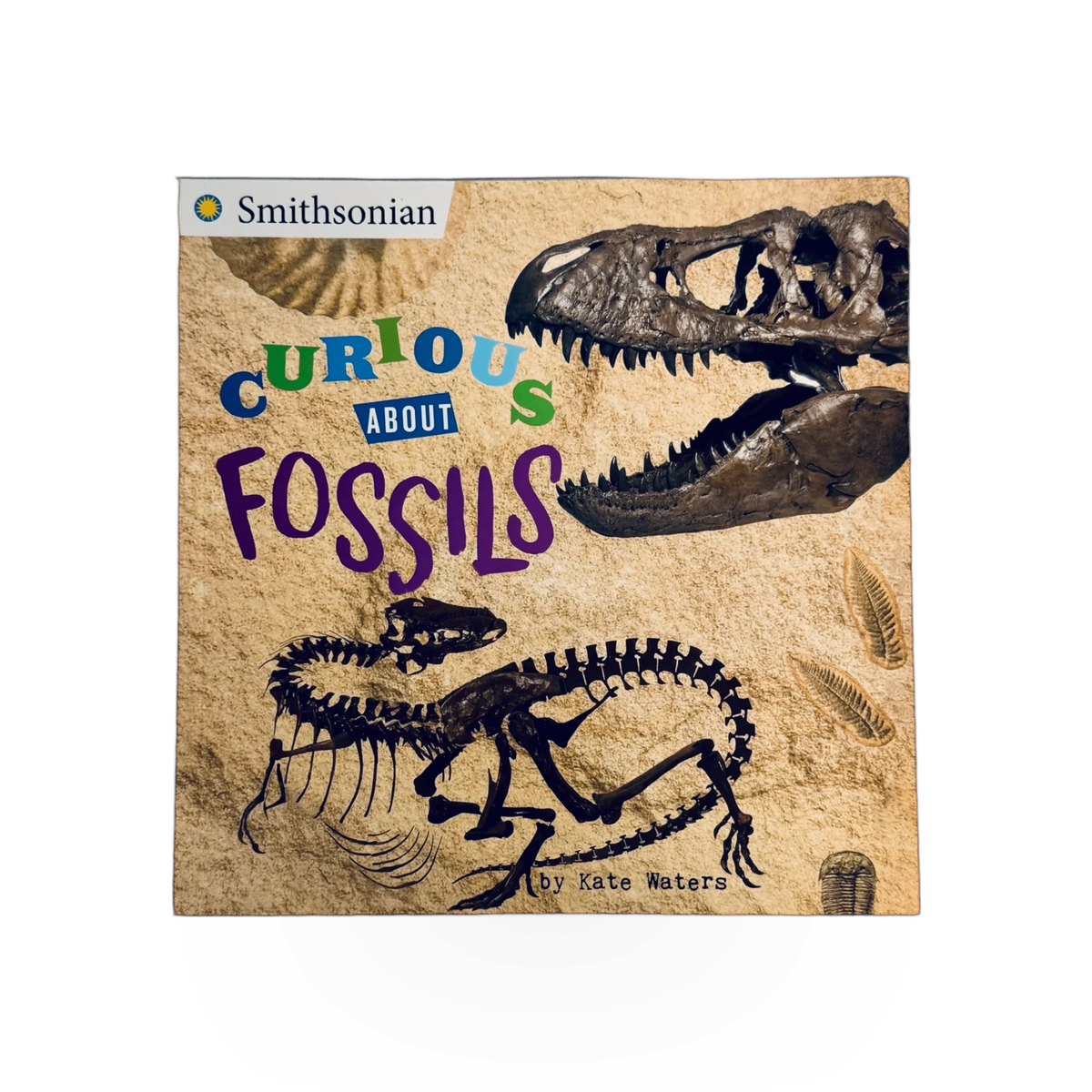 Open book titled "Curious About Fossils" by Penguin Random House with colorful fossil illustrations on the pages.