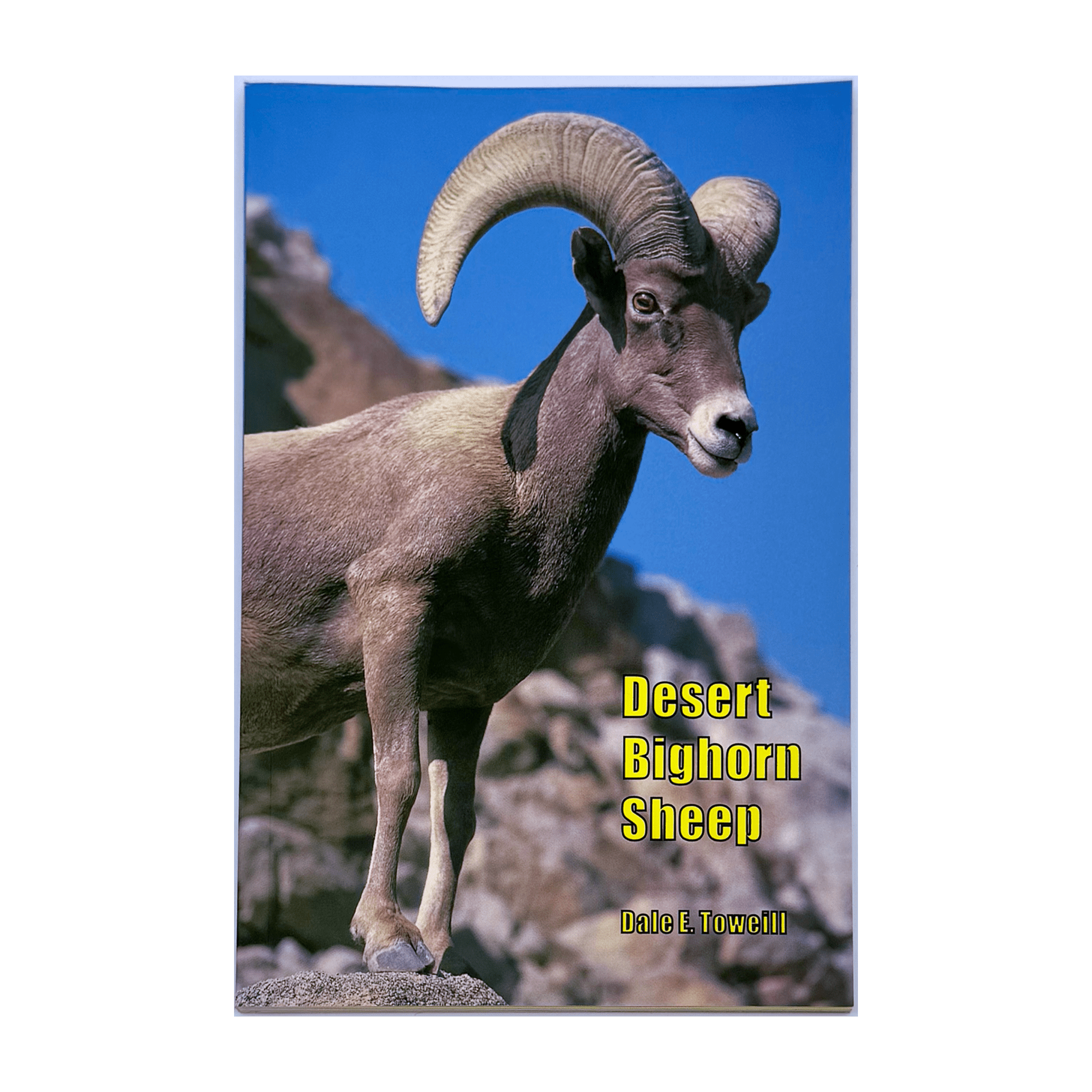 Book - Desert Bighorn Sheep - Zion Natl Park Forever Project