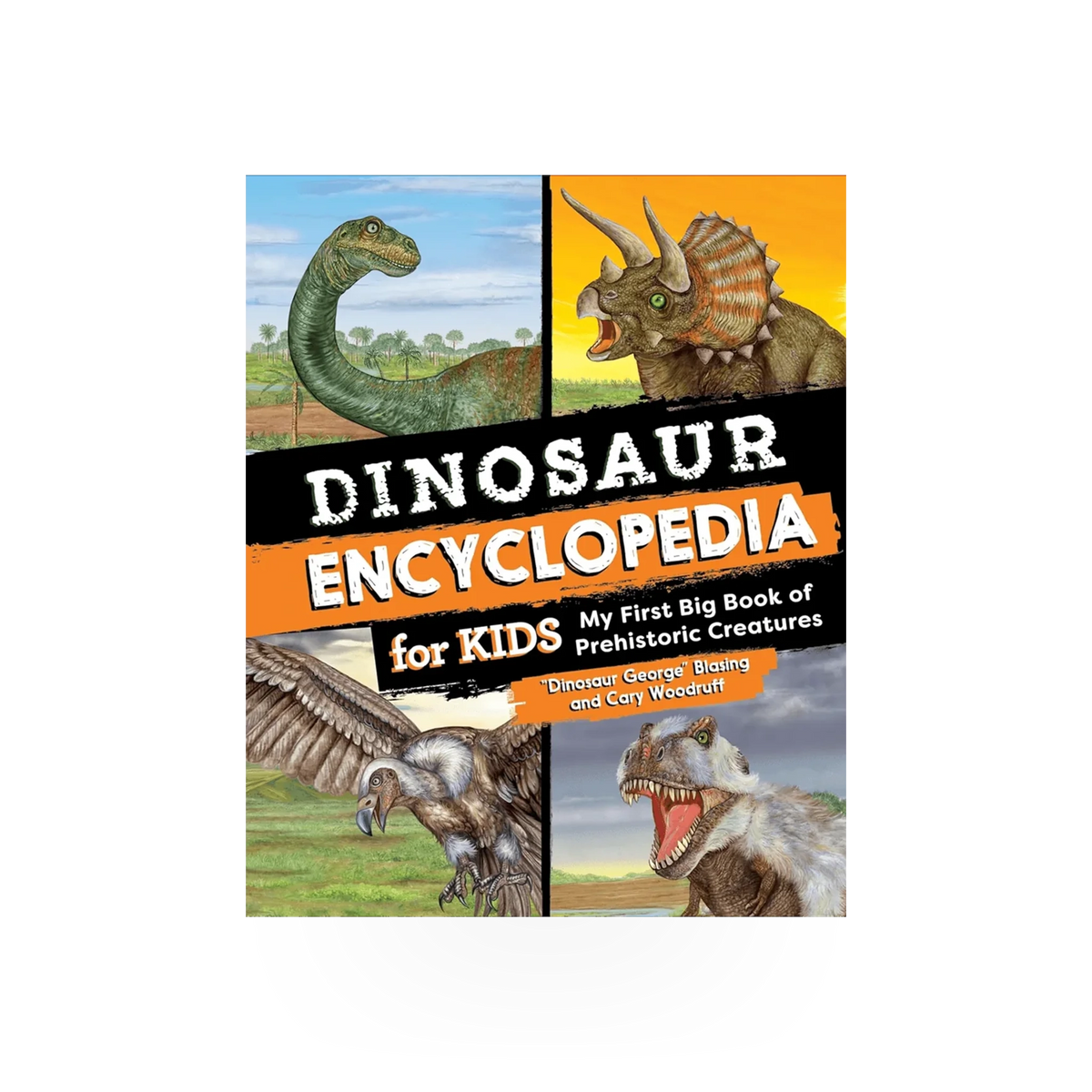 Children's dinosaur encyclopedia book by Source Books, featuring colorful illustrations of dinosaurs for kids.
