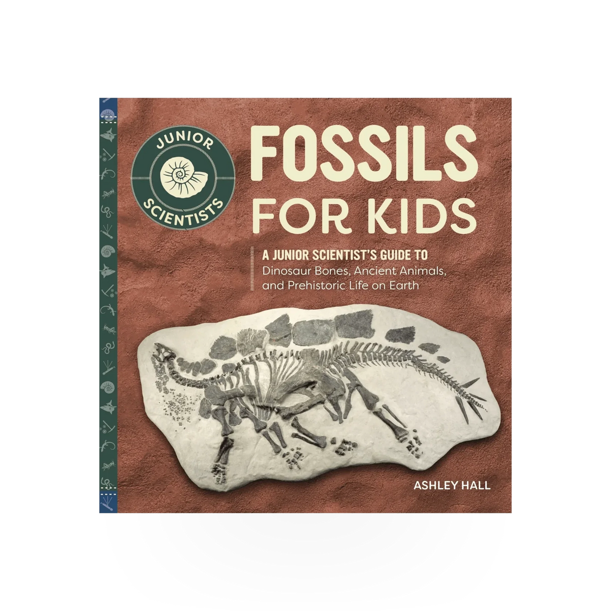 Children's fossil book by Source Books featuring colorful illustrations and educational content about fossils for kids.