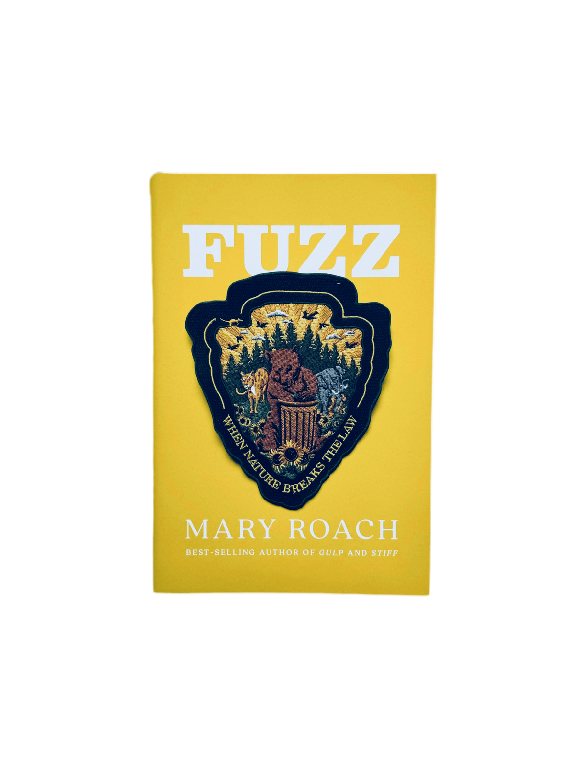 W.W. Norton Fuzz book, a published paperback with a colorful cover featuring abstract artwork and the title "Fuzz" visible.