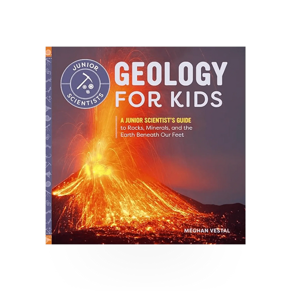 Children's geology book by Source Books titled "Geology for Kids" featuring colorful rocks and earth illustrations.