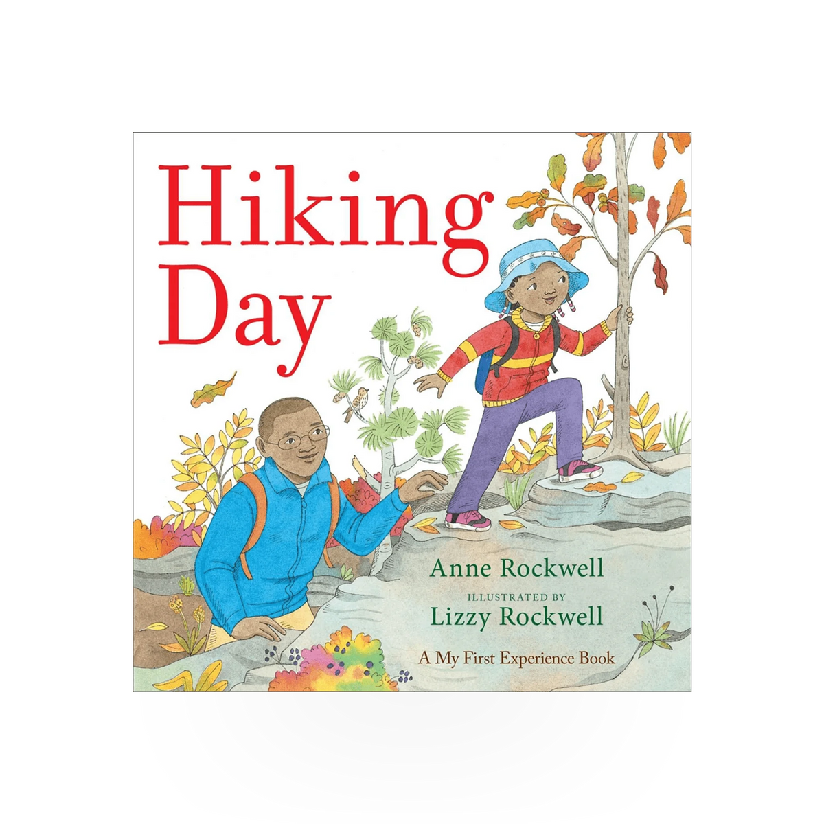 Simon & Schuster Hiking Day book, a paperback travel guide with scenic outdoor illustrations and hiking tips.