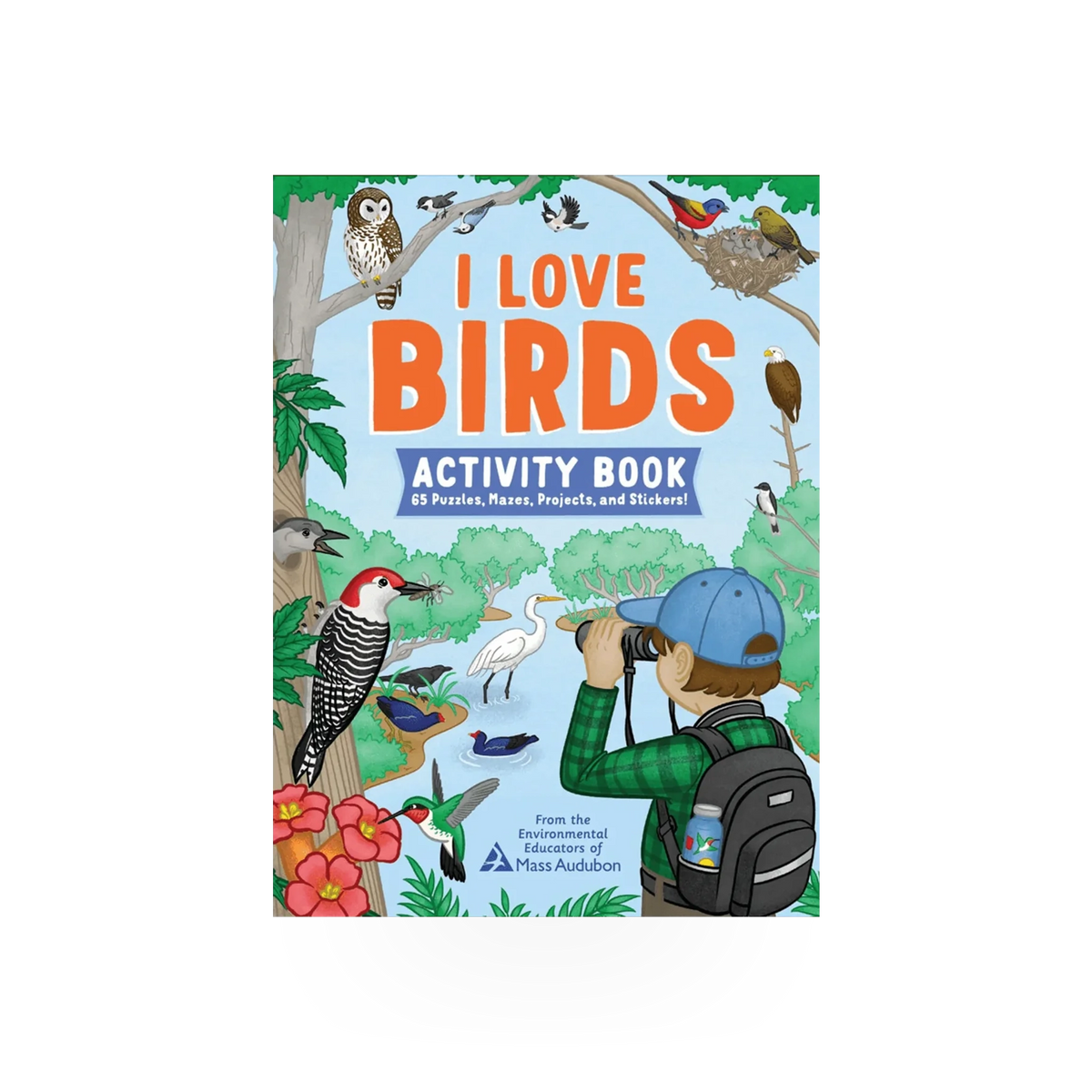 I Love Birds Activity Book by Hachette Book Group USA featuring colorful bird illustrations and fun activities on the cover.