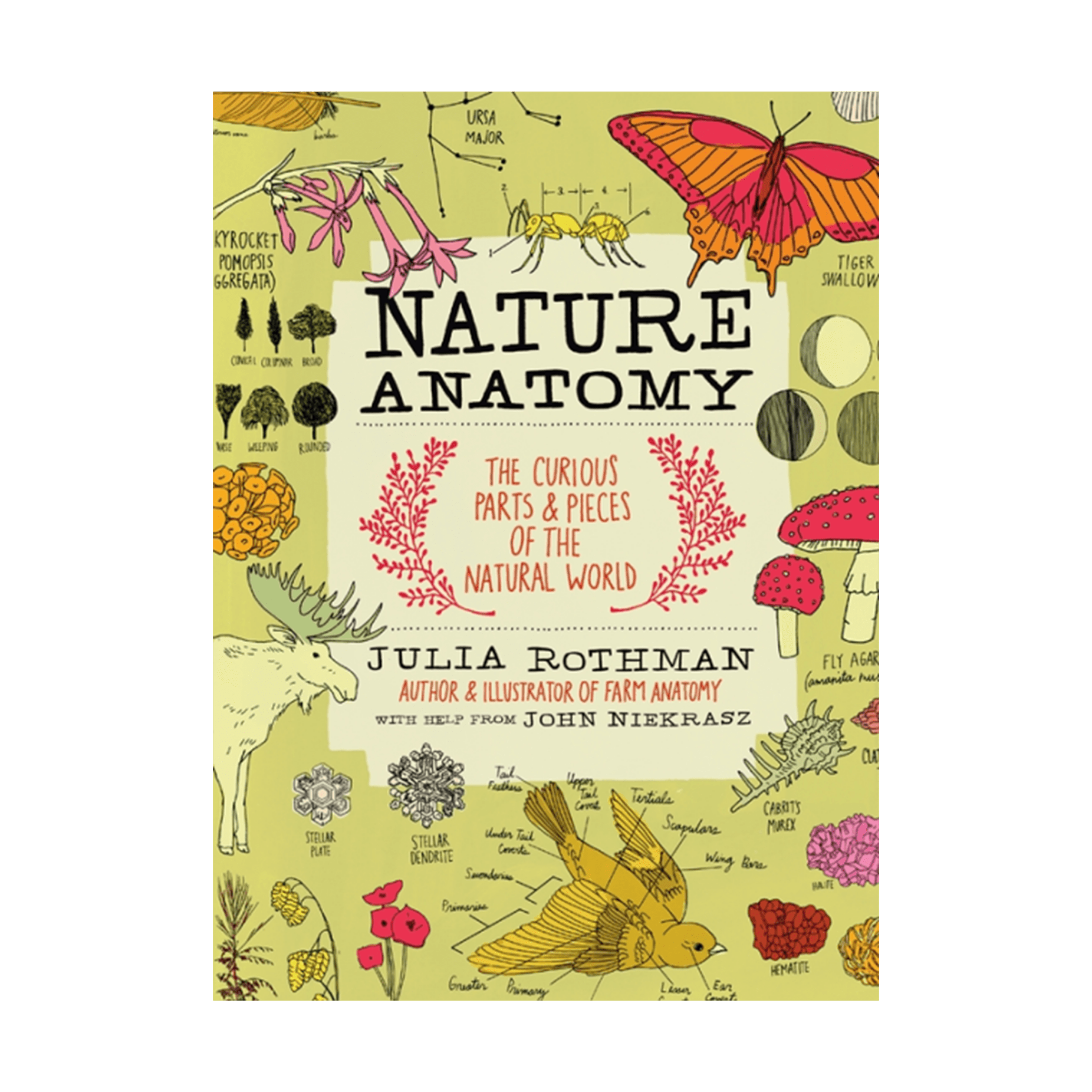 Book - Nature Anatomy - Zion Natl Park Forever Project