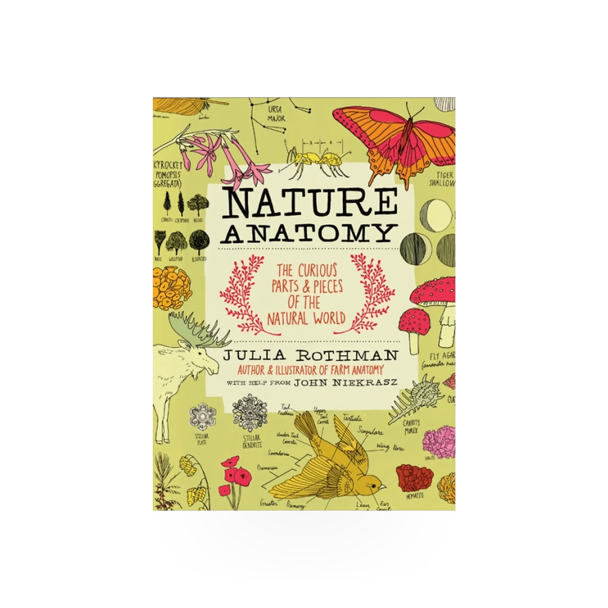 Hachette Book Group USA Nature Anatomy book cover featuring detailed illustrations of plants and natural elements.