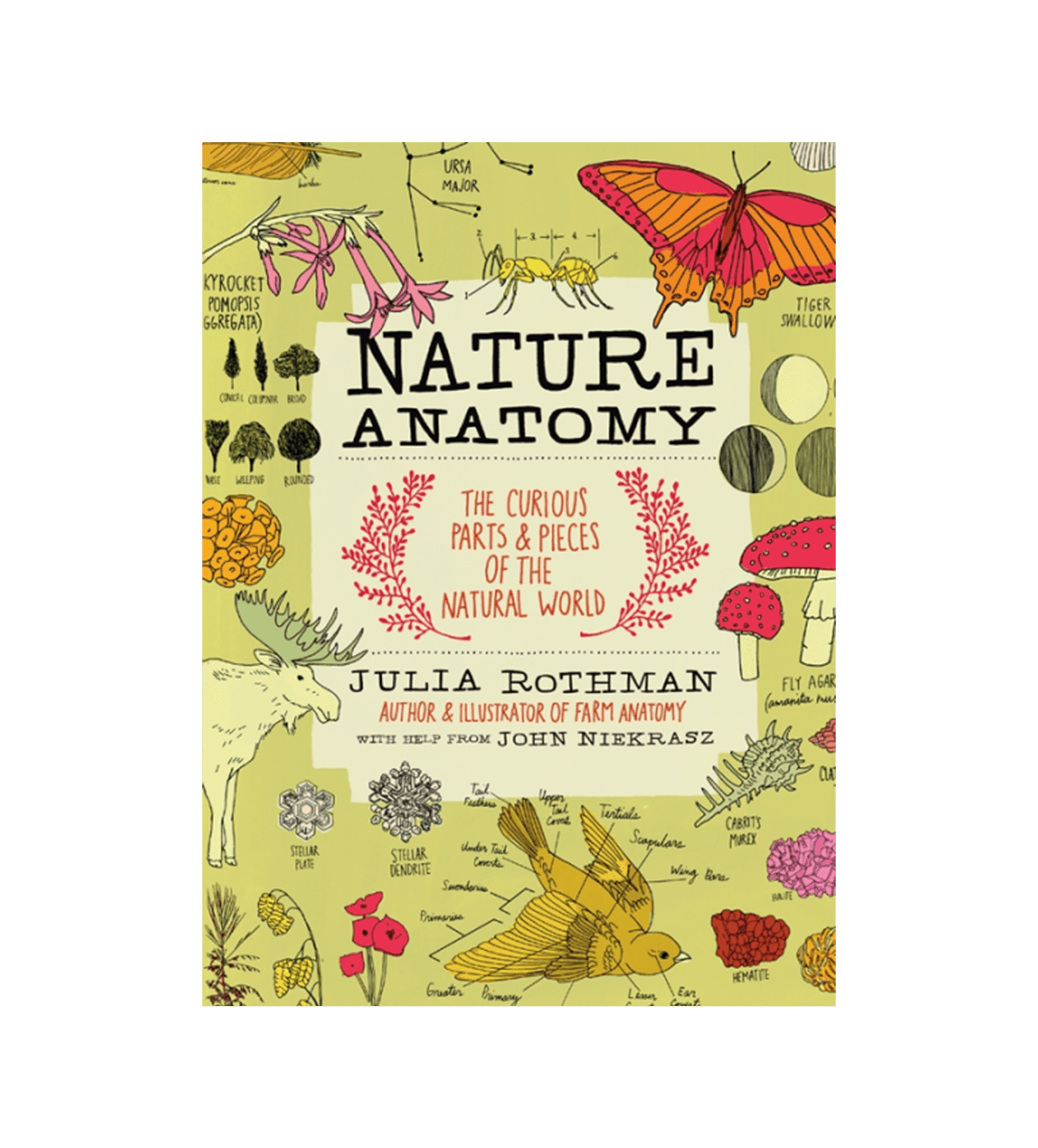 Book - Nature Anatomy - Zion Natl Park Forever Project