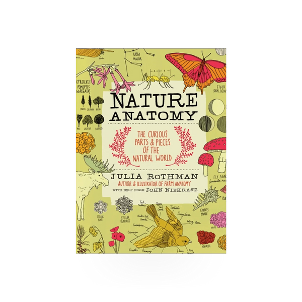 Hachette Book Group USA Nature Anatomy book cover featuring detailed illustrations of plants and natural elements.