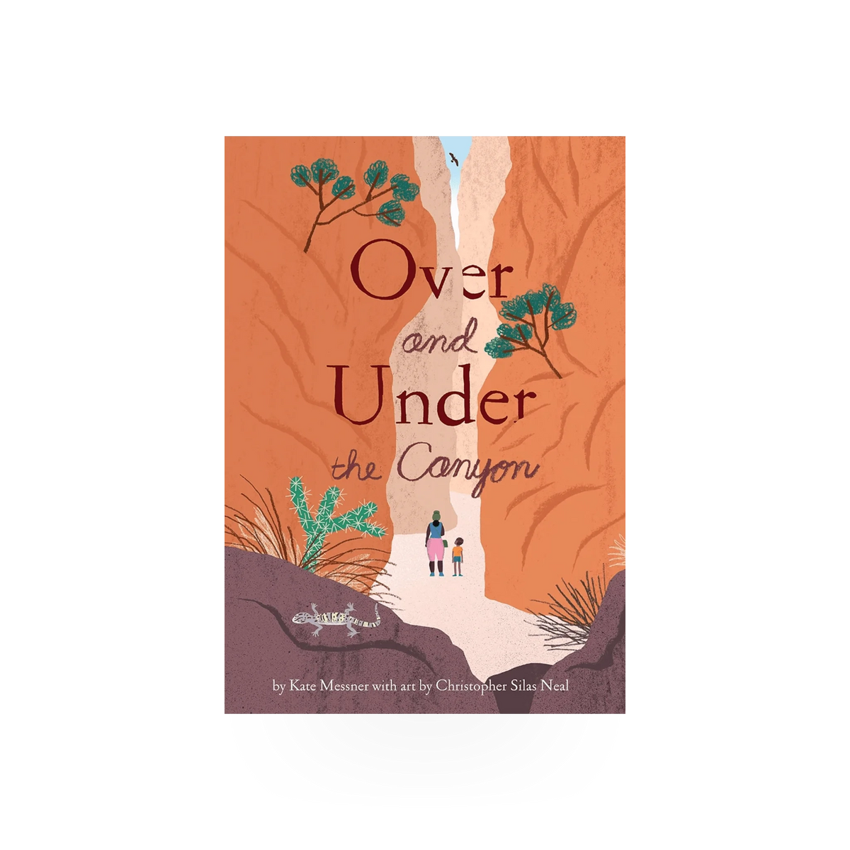 Children's hardcover book titled "Over and Under the Canyon" by Chronicle Books, showing colorful canyon illustrations.