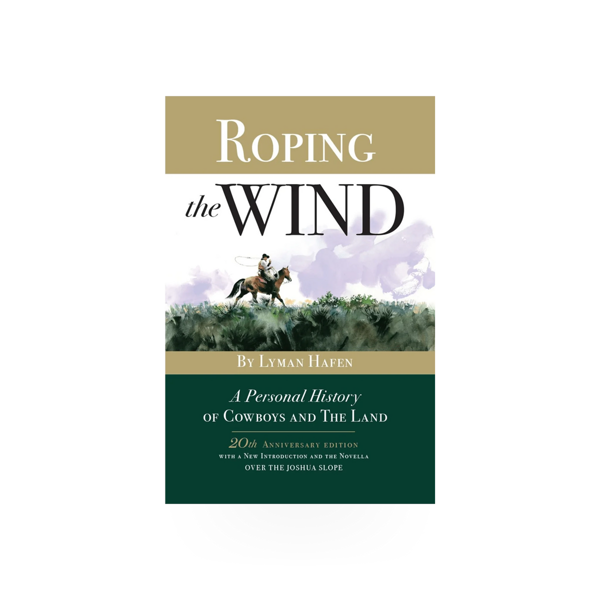 Paperback book titled "Roping The Wind" published by Tonaquint Press, with a cover featuring wind-themed artwork and title text.