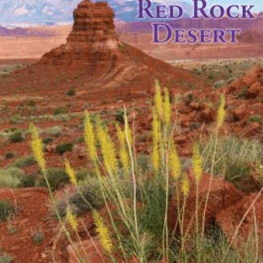Book - Spring Wildflowers Utah Desert - Zion Natl Park Forever Project