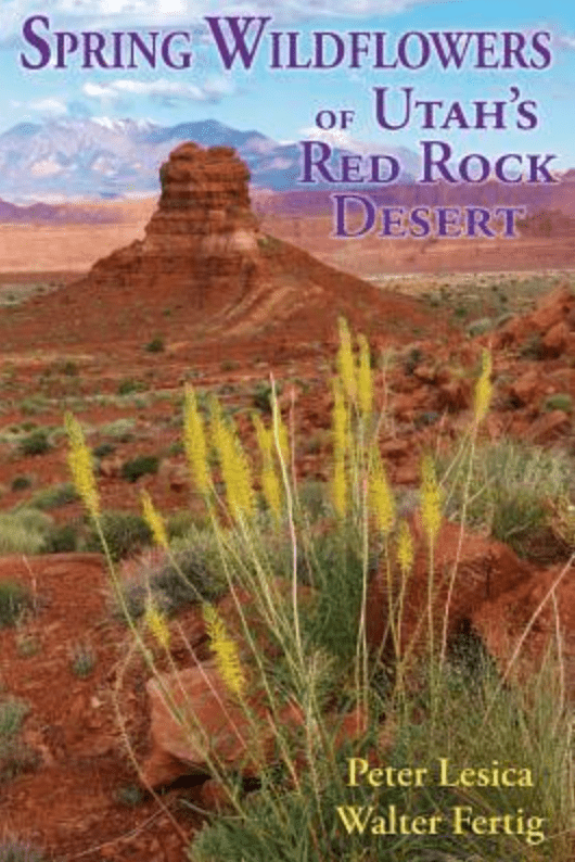 Book - Spring Wildflowers Utah Desert - Zion Natl Park Forever Project