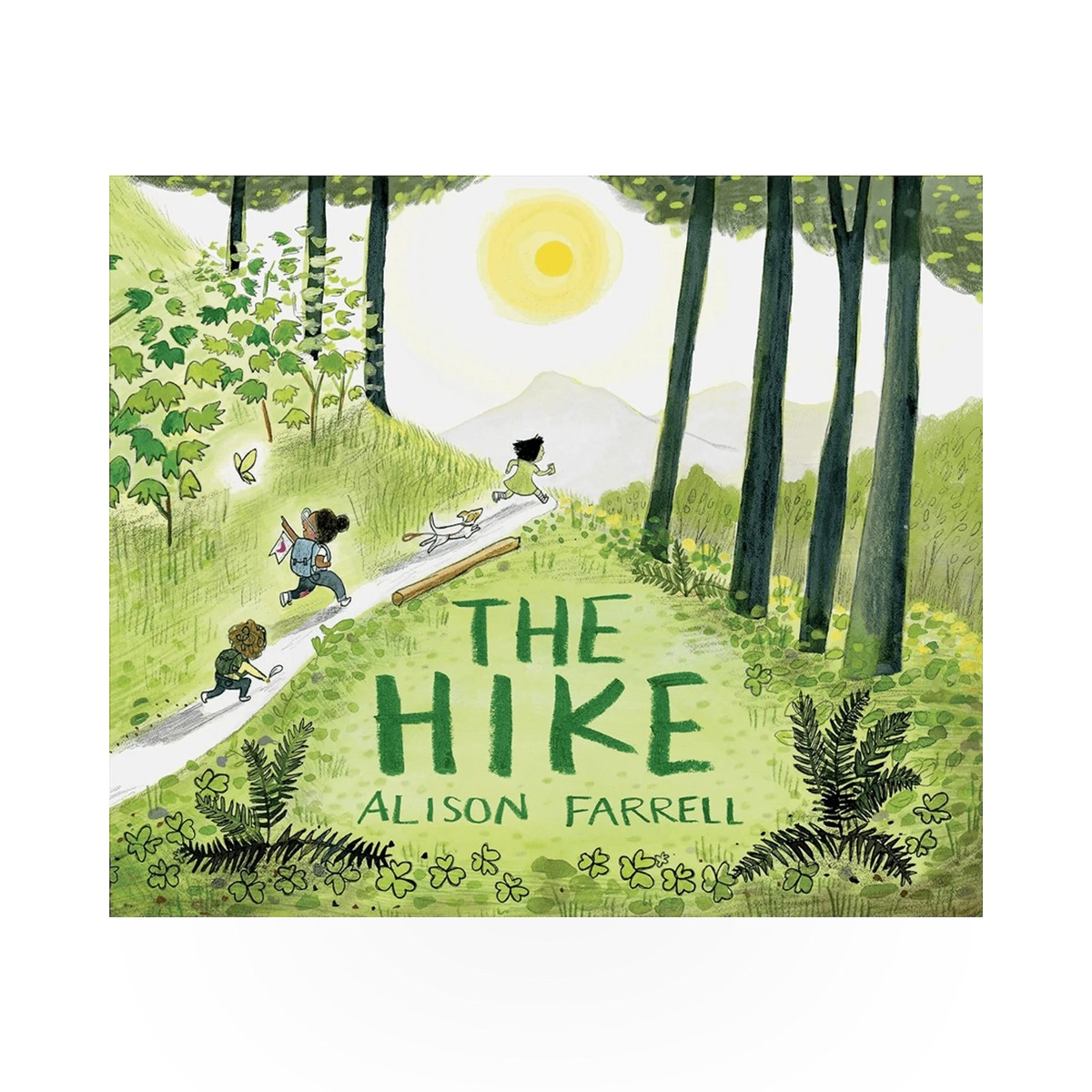 A hardcover copy of "The Hike" book published by Chronicle Books, featuring outdoors-themed cover art.