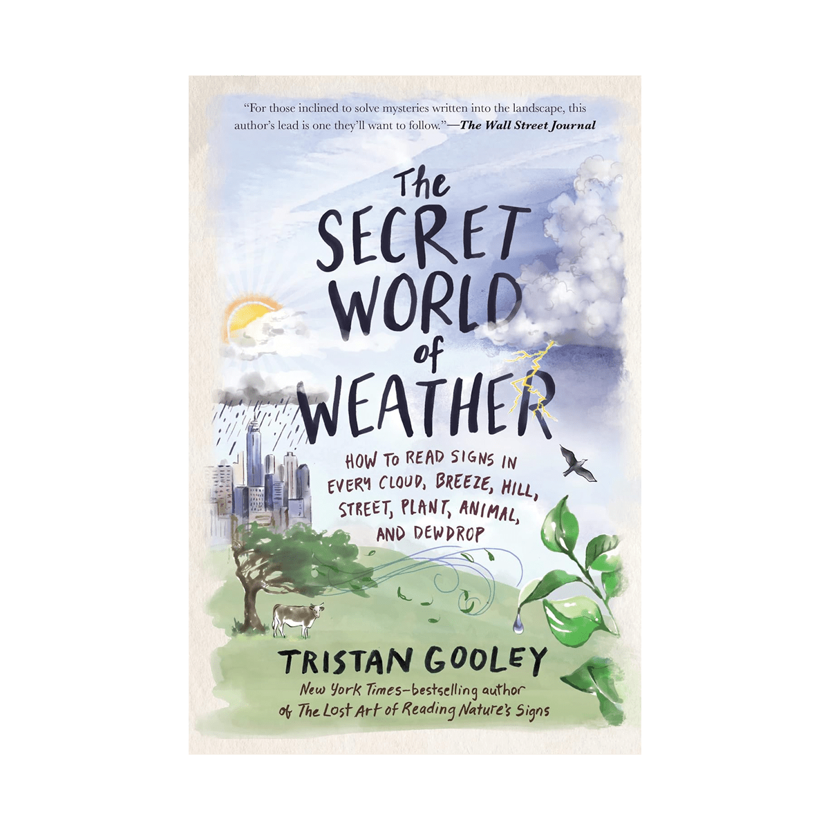 Book - The Secret World of Weather - Zion Natl Park Forever Project