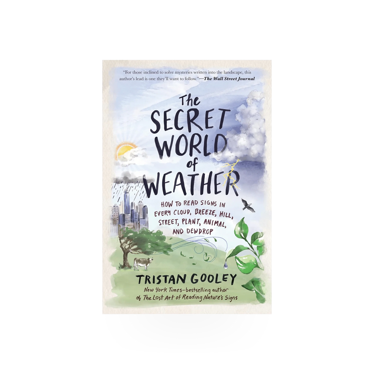 W.W. Norton book titled "The Secret World of Weather" featuring a colorful weather-themed cover image.